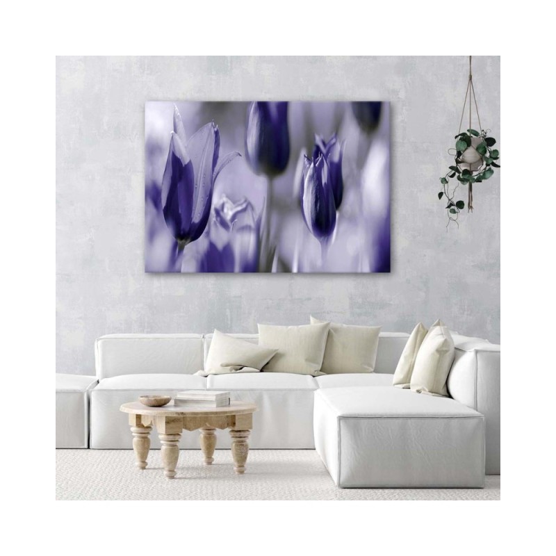 Dekoratives Leinwandbild - Lila Tulpen auf einer Wiese | Feeby