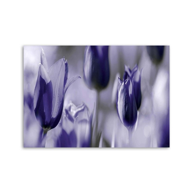 Dekoratives Leinwandbild - Lila Tulpen auf einer Wiese | Feeby