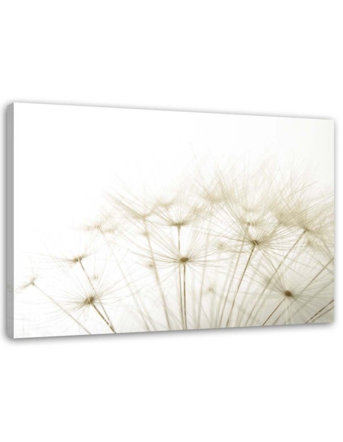 Leinwandbild - Nahaufnahme einer Schmeißfliege | Feeby