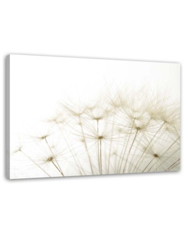 Dandelion Nature Macro- Modern wall art painting for living room | FEEBY