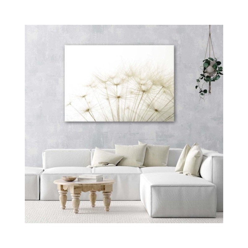 Leinwandbild - Nahaufnahme einer Schmeißfliege | Feeby