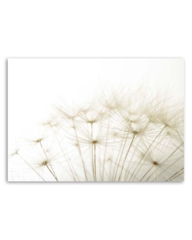 Leinwandbild - Nahaufnahme einer Schmeißfliege | Feeby