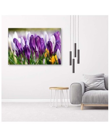Leinwandbild - Wiese mit Krokussen | Feeby