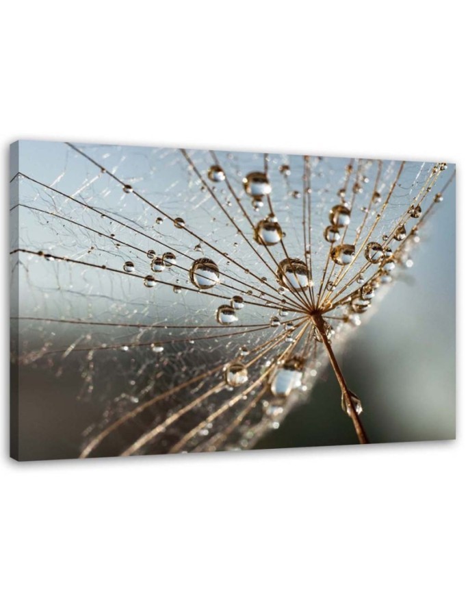 Modernes Wandbild - Inflator in den Tautropfen | Feeby