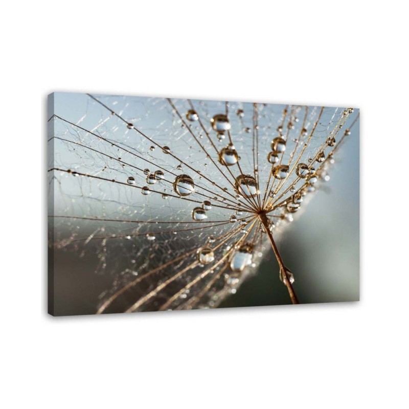 Modernes Wandbild - Inflator in den Tautropfen | Feeby