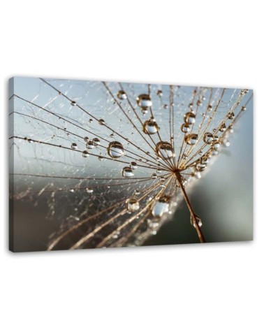 Canvas painting - Dandelion in Dew Drops| FEEBY