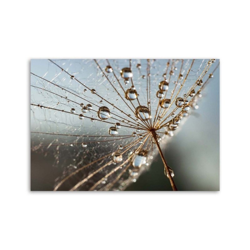 Modernes Wandbild - Inflator in den Tautropfen | Feeby