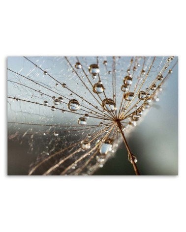 Modernes Wandbild - Inflator in den Tautropfen | Feeby