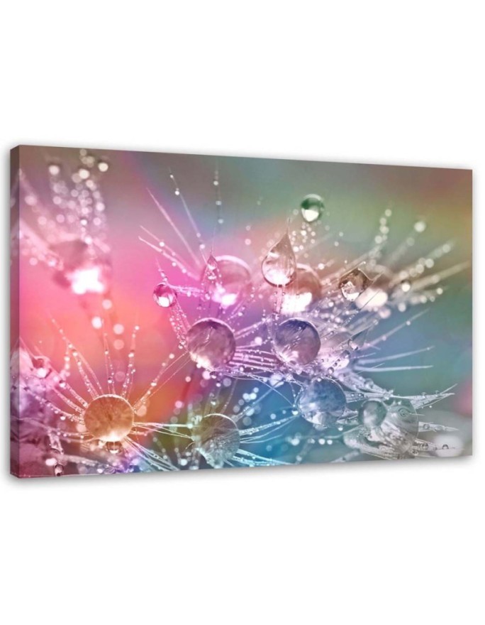 Bild auf Leinwand - Wassertropfen auf einem Tautropfen | Feeby