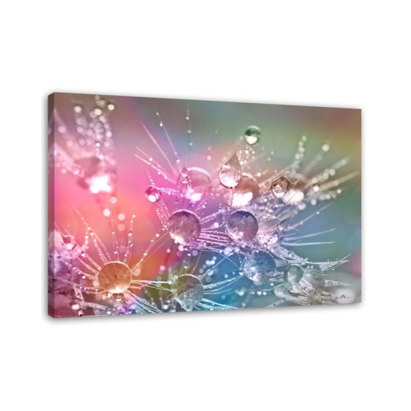 Bild auf Leinwand - Wassertropfen auf einem Tautropfen | Feeby