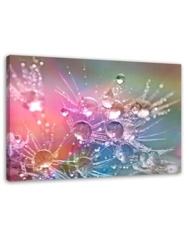 Bild auf Leinwand - Wassertropfen auf einem Tautropfen | Feeby