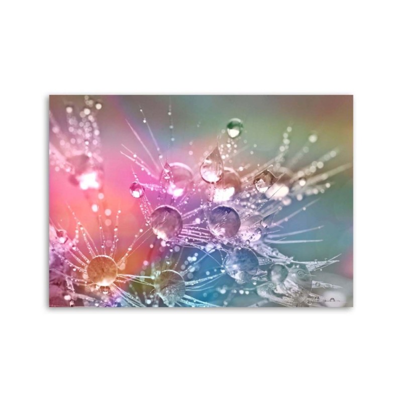 Bild auf Leinwand - Wassertropfen auf einem Tautropfen | Feeby