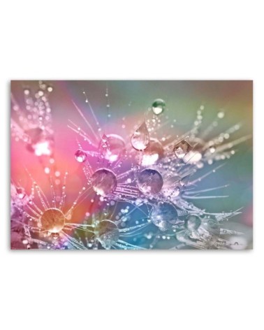 Bild auf Leinwand - Wassertropfen auf einem Tautropfen | Feeby