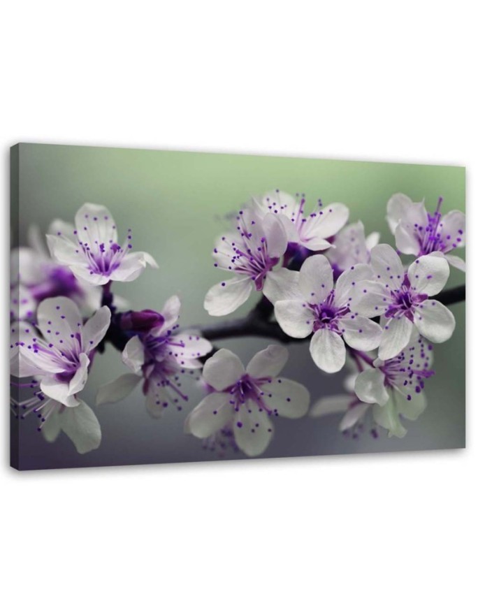 Modern Canvas painting for living room - Apple blossoms | FEEBY