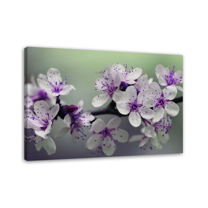 Modernes Wandbild - Blumen auf einem Baum | Feeby