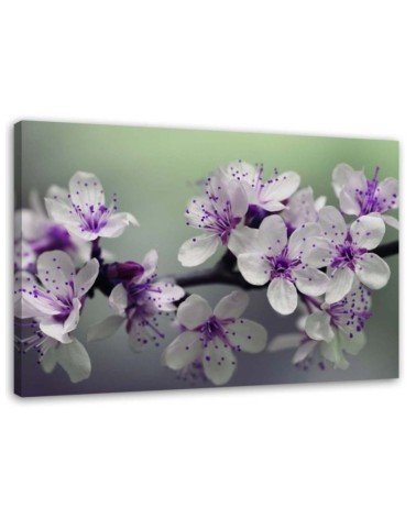 Modern Canvas painting for living room - Apple blossoms | FEEBY