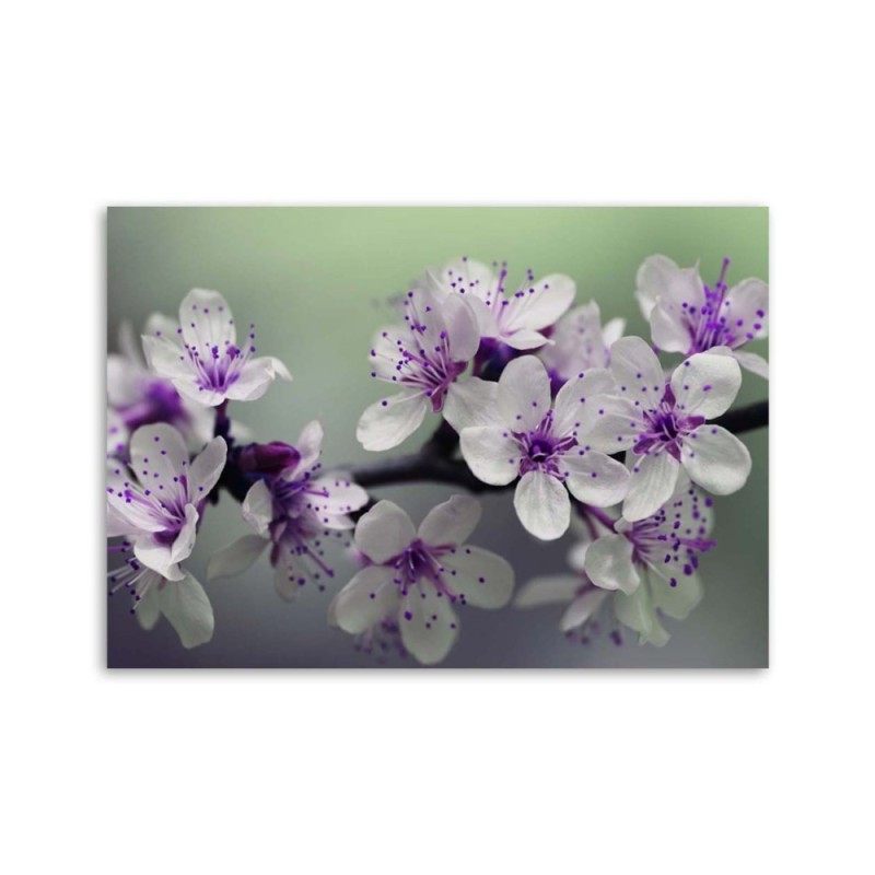 Modernes Wandbild - Blumen auf einem Baum | Feeby