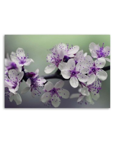 Modernes Wandbild - Blumen auf einem Baum | Feeby