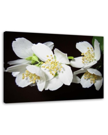 Modern Canvas painting for living room - Blooming jasmine | FEEBY
