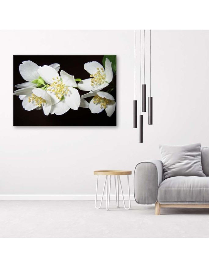 Modern Canvas painting for living room - Blooming jasmine | FEEBY