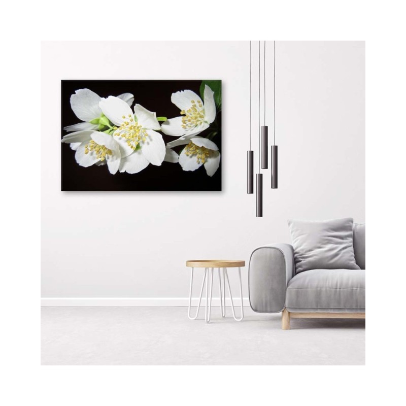 Dekoratives Leinwandbild - Blühender Jasmin | Feeby