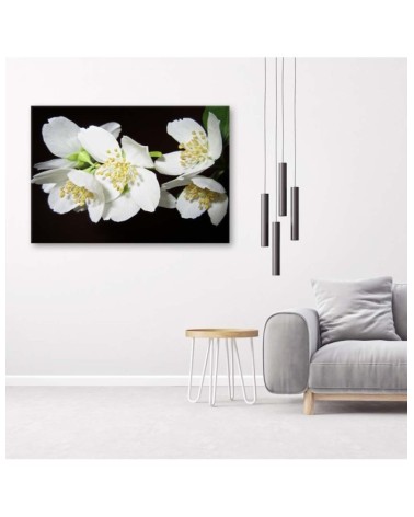 Dekoratives Leinwandbild - Blühender Jasmin | Feeby