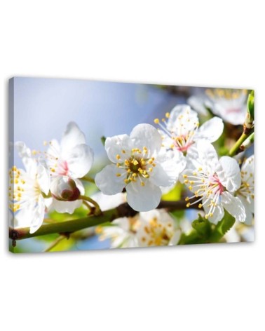 Modern wall art painting - Apple blossoms | FEEBY