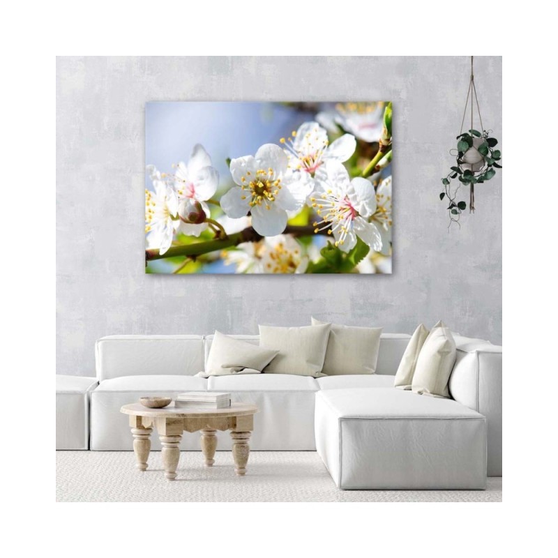 Bild auf Leinwand - Blühender Zweig | Feeby