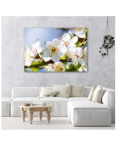 Bild auf Leinwand - Blühender Zweig | Feeby