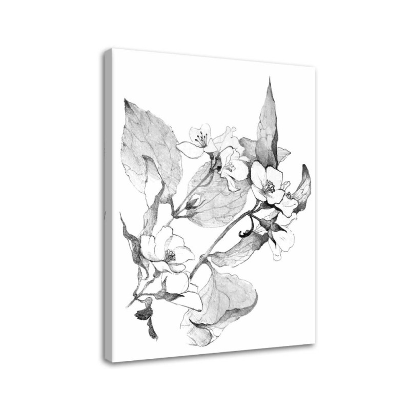 Leinwandbild - Blühende Zweige | Feeby