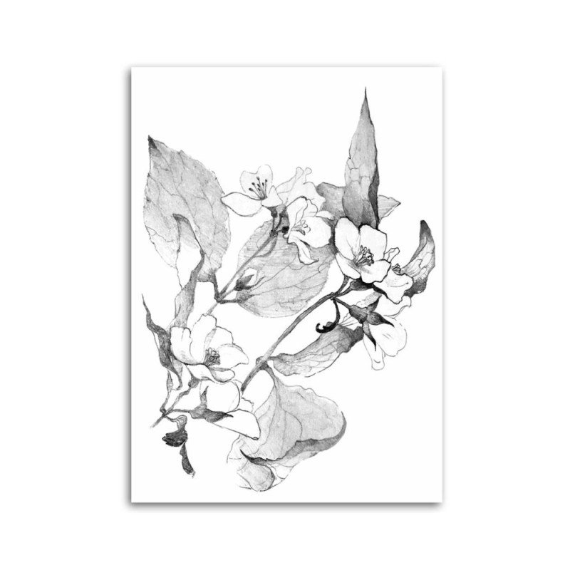 Leinwandbild - Blühende Zweige | Feeby