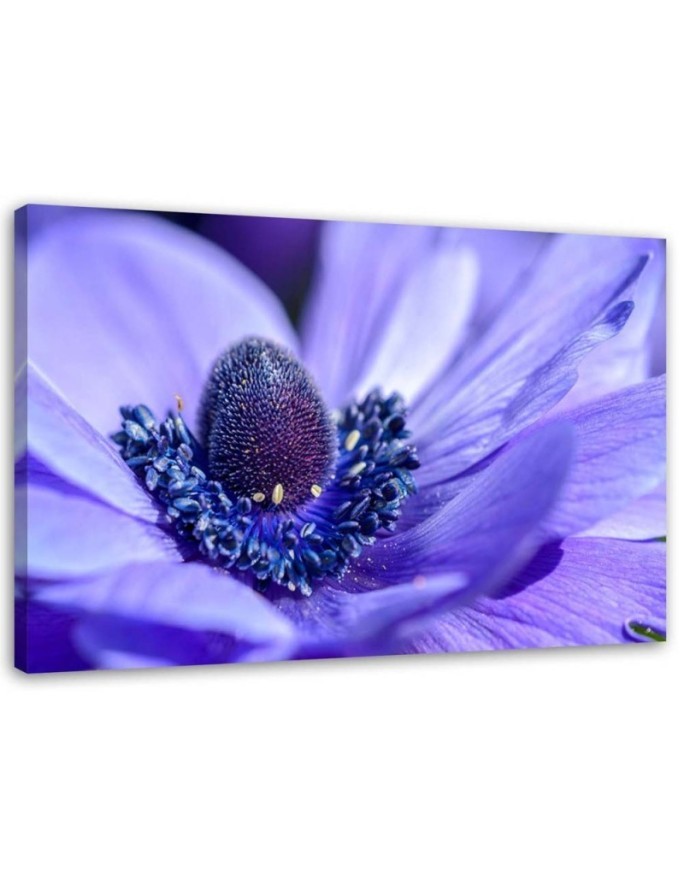 Wandbild für Wohnzimmer - Blaue und violette Blume | Feeby