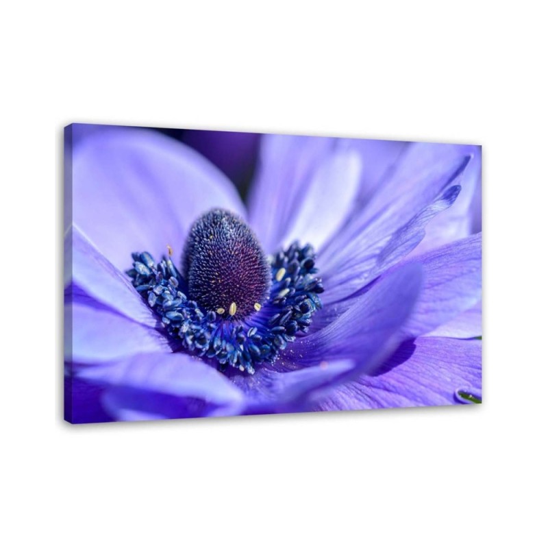 Wandbild für Wohnzimmer - Blaue und violette Blume | Feeby