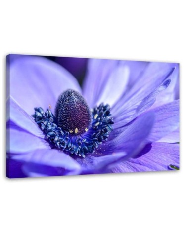 Wandbild für Wohnzimmer - Blaue und violette Blume | Feeby