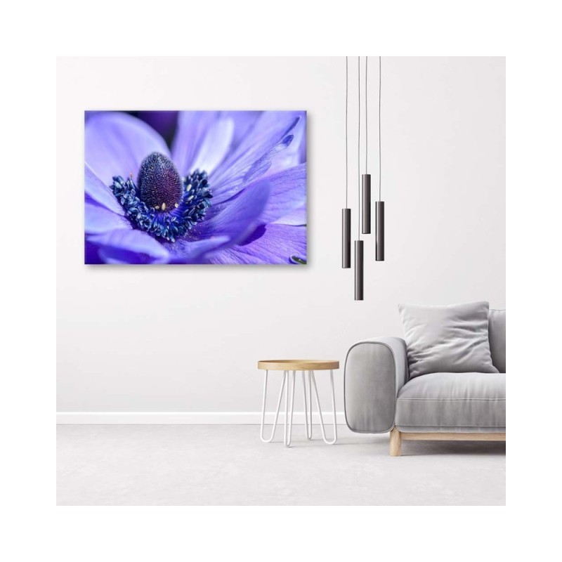 Wandbild für Wohnzimmer - Blaue und violette Blume | Feeby