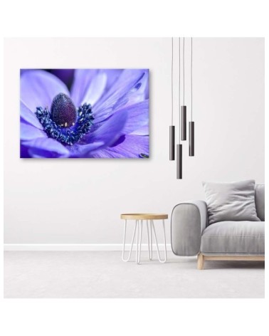 Wandbild für Wohnzimmer - Blaue und violette Blume | Feeby