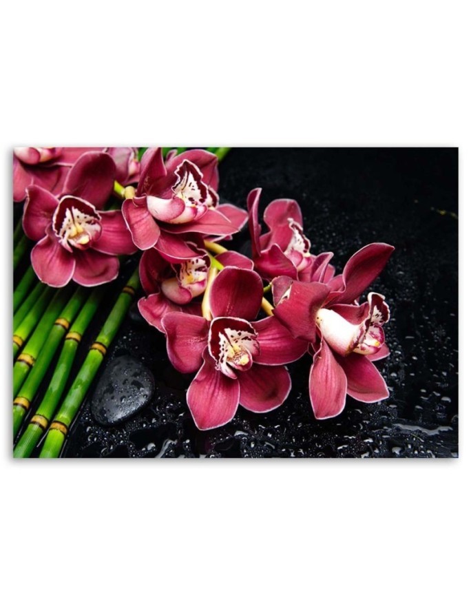 Wydruk na płótnie do sypialni - Orchidea bambus zen | FEEBY