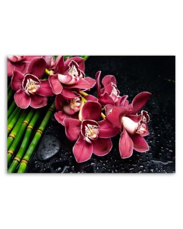 Leinwandbild - Orchidee auf Bambus | Feeby