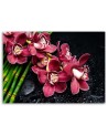 Canvas print for the bedroom - Red Orchid bamboo zen | FEEBY