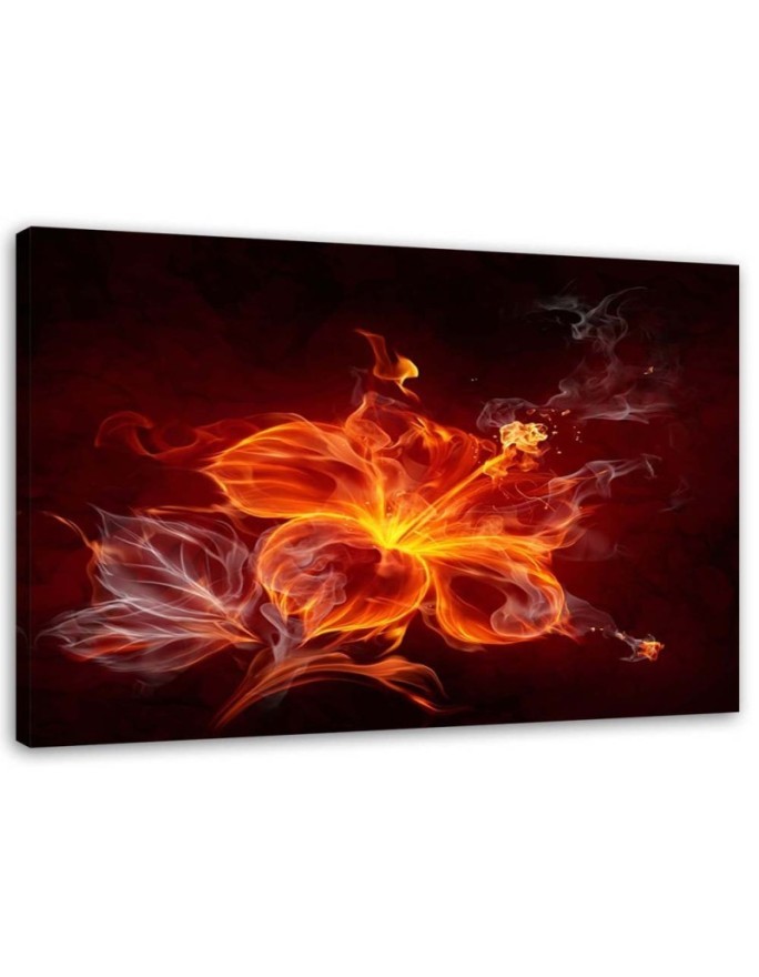 Bild auf Leinwand - Flammenblume | Feeby