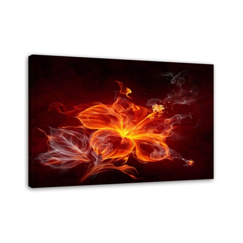 Bild auf Leinwand - Flammenblume | Feeby