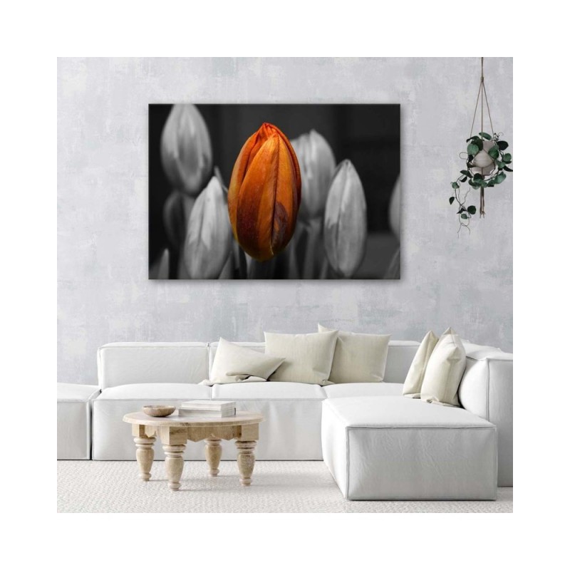 Modernes Wandbild - Orangefarbene Tulpe | Feeby