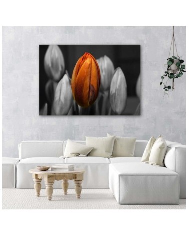 Modernes Wandbild - Orangefarbene Tulpe | Feeby