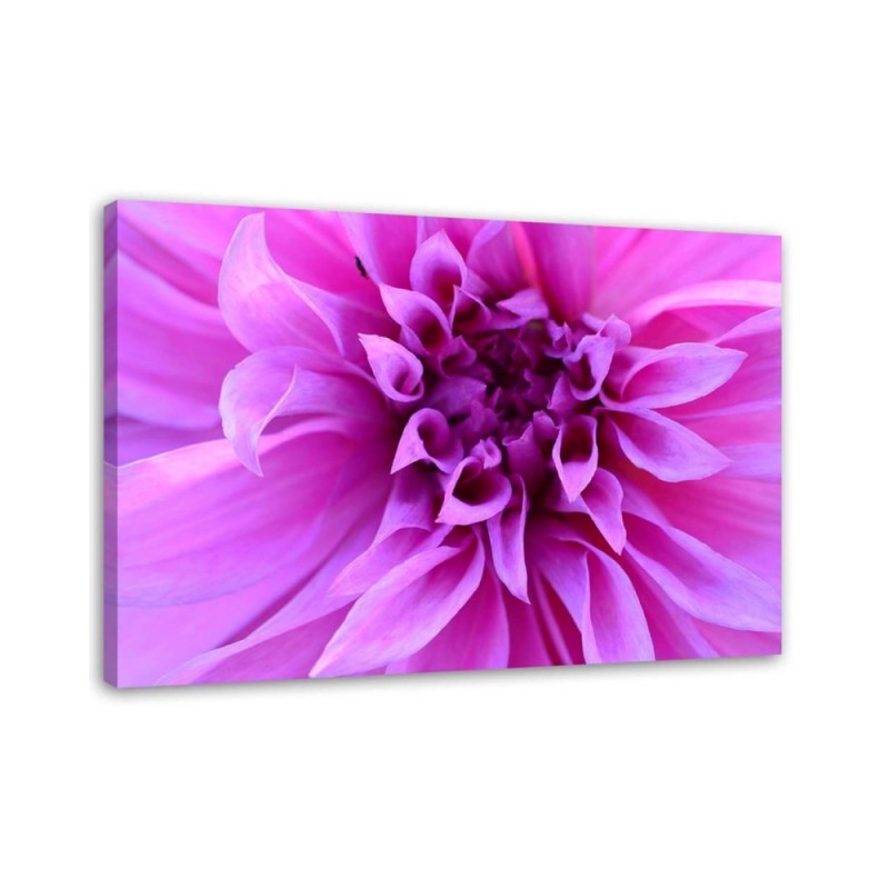 Leinwandbild - Lila Blume | Feeby