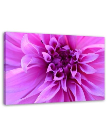 Leinwandbild - Lila Blume | Feeby