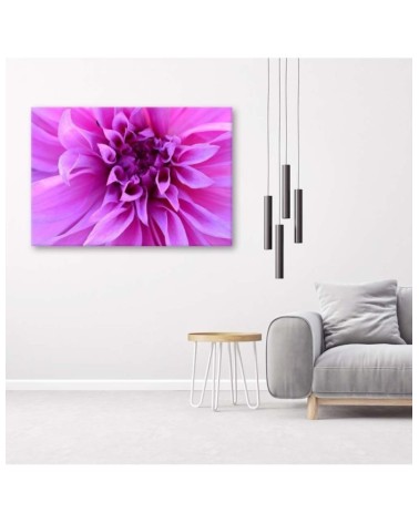 Leinwandbild - Lila Blume | Feeby