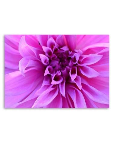 Leinwandbild - Lila Blume | Feeby