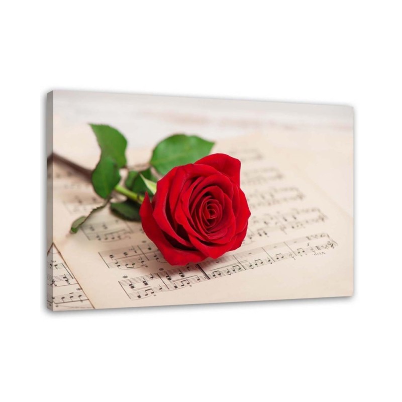 Leinwandbild - Rose auf einem Zettel | Feeby