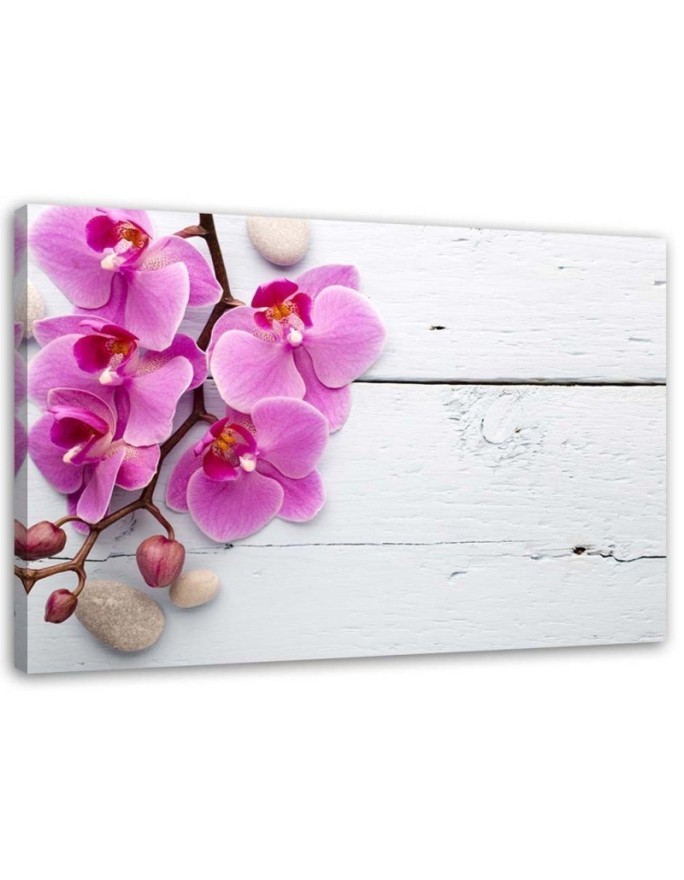 Pink orchid on boards - Canvas print. Buy now| | FEEBY