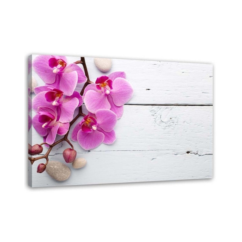 Różowa orchidea na deskach - Wydruk na płótnie | FEEBY